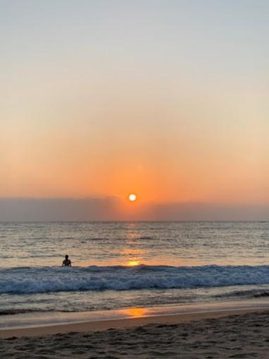 Kranti Yoga Tradition - Beach Resort Patnem Beach 外观 照片